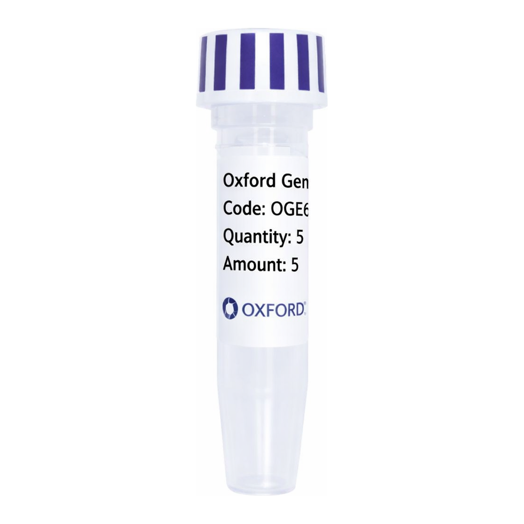 Merck PSF-OXB20-COOH-EKT-HA-6HIS - C-TERMINAL 6 HIS AND HA DUAL TAG BACTERIAL PLASMID