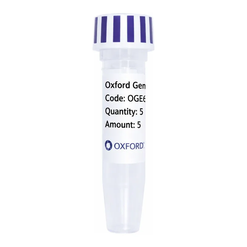 Merck PSF-OXB20-COOH-EKT-HA-6HIS - C-TERMINAL 6 HIS AND HA DUAL TAG BACTERIAL PLASMID