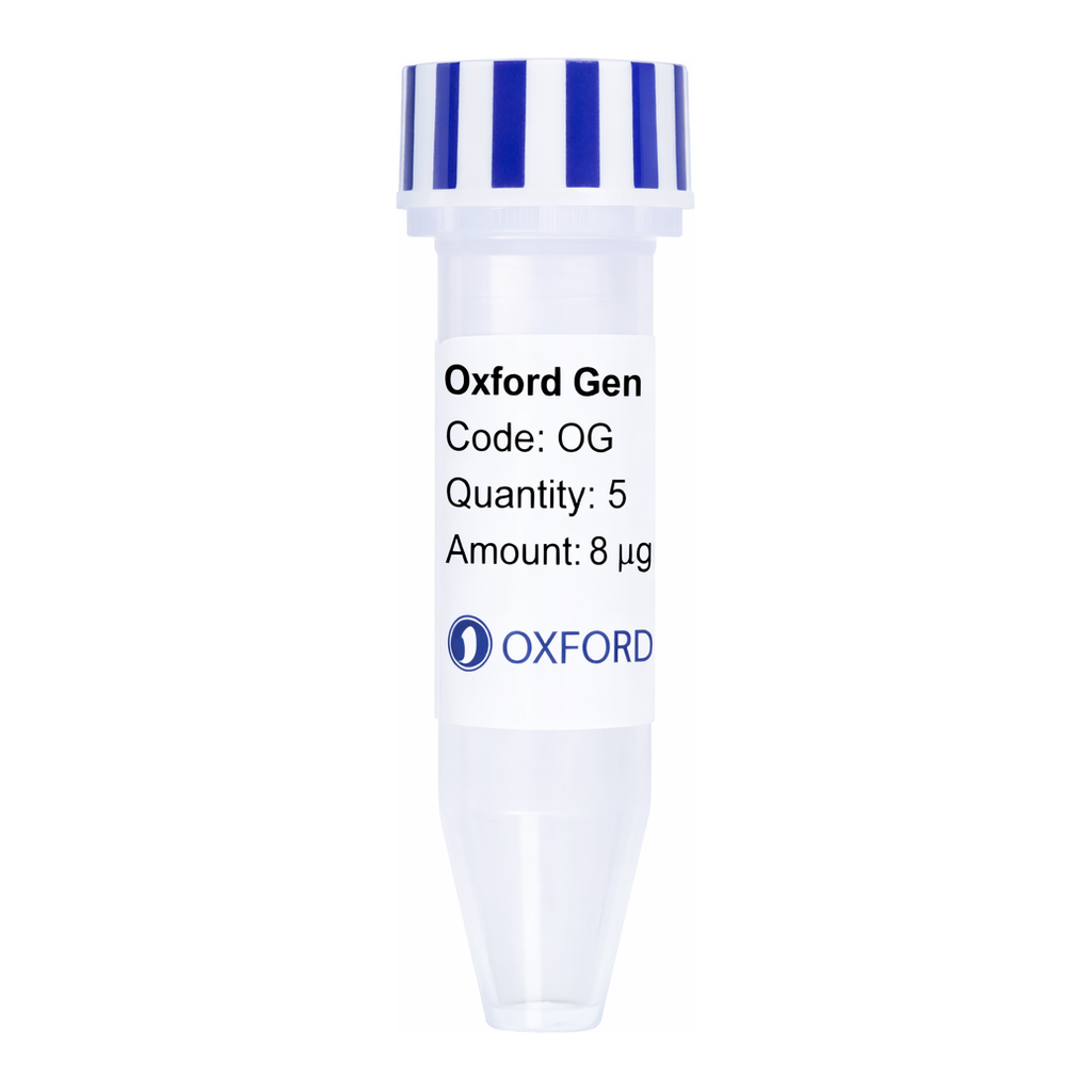 Merck PSF-OXB20-NH2-6HIS-GST-EKT - N-TERMINAL 6 HIS AND GST DUAL TAG BACTERIAL PLASMID