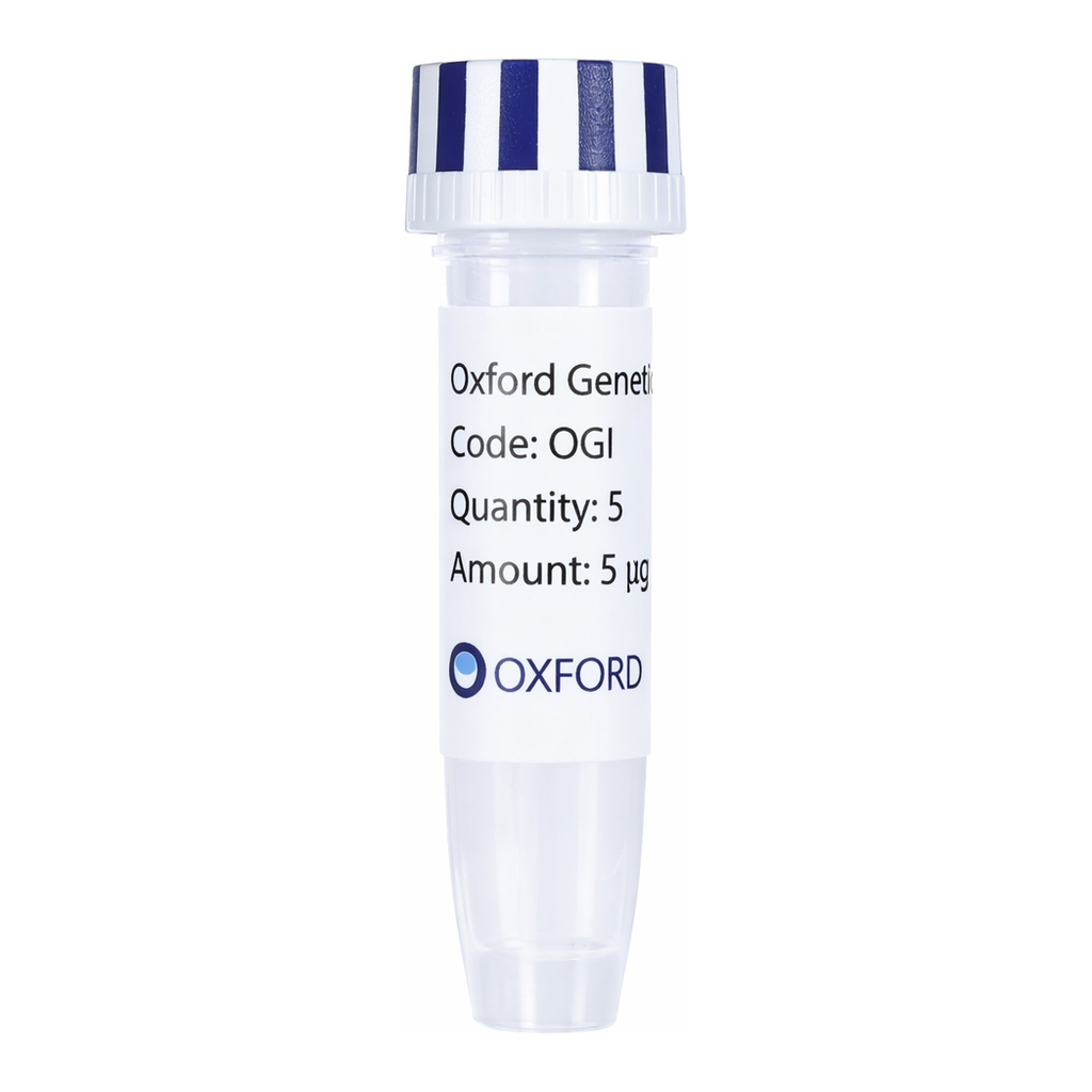 Merck PSF-OXB20-COOH-EKT-FRCFP-6HIS - C-TERMINAL 6 HIS AND CFP DUAL TAG BACTERIAL PLASMID