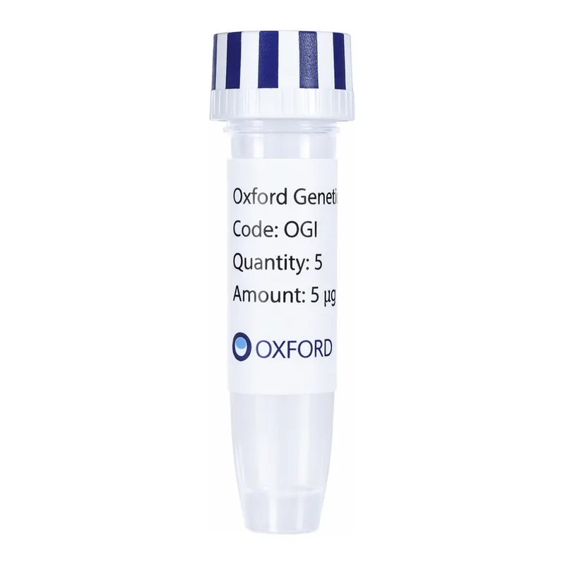 Merck PSF-OXB20-COOH-EKT-FRCFP-6HIS - C-TERMINAL 6 HIS AND CFP DUAL TAG BACTERIAL PLASMID