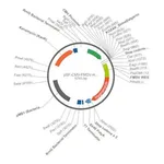Merck PSF-CMV-FMDV-HYGRO - FMDV IRES HYGROMYCIN EXPRESSION PLASMID