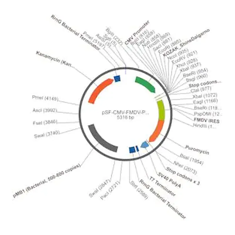 Merck PSF-CMV-FMDV-PURO - FMDV IRES PUROMYCIN EXPRESSION PLASMID