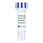 Merck PSF-OXB20-COOH-TEV-BETAGAL-6HIS - C-TERMINAL 6 HIS AND BETA GAL DUAL TAG BACTERIAL PLASMID
