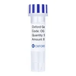 Merck PSF-OXB20-COOH-TEV-KRYFP-6HIS - C-TERMINAL 6 HIS AND YFP DUAL TAG BACTERIAL PLASMID