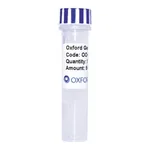 Merck PSF-OXB20-NH2-DSBA - DSBA SECRETION PLASMID