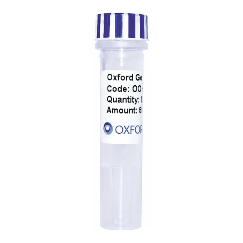 Merck PSF-OXB20-NH2-DSBA - DSBA SECRETION PLASMID