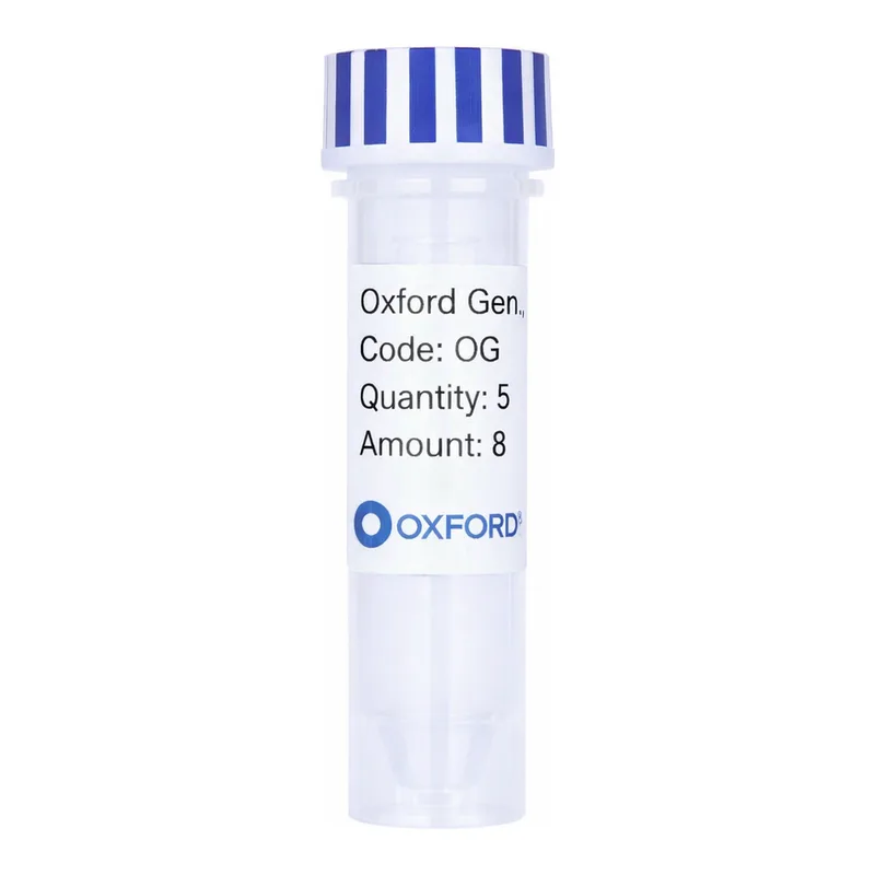 Merck PSF-OXB20-NH2-OMPC - OMPC SECRETION PLASMID