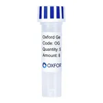 Merck PSF-OXB20-NH2-OMPT - OMPT SECRETION PLASMID