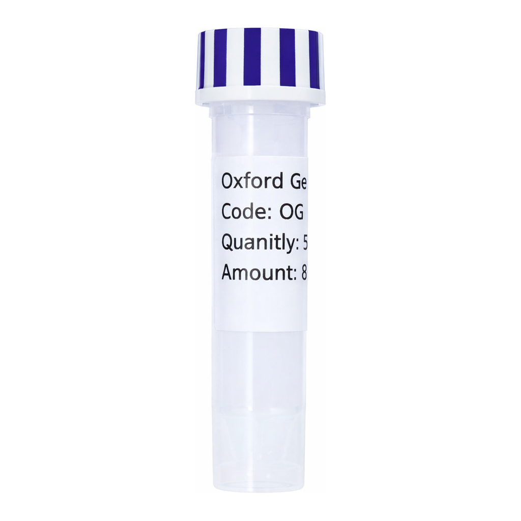 Merck PSF-OXB20-NH2-SUFI - SUFI SECRETION PLASMID