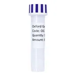 Merck PSF-OXB20-NH2-SUFI - SUFI SECRETION PLASMID