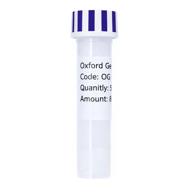 Merck PSF-OXB20-NH2-SUFI - SUFI SECRETION PLASMID