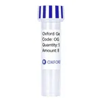 Merck PSF-OXB20-NH2-TORT - TORT SECRETION PLASMID