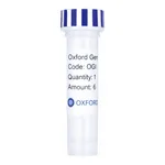 Merck PSF-OXB20-NH2-MALE - MALE SECRETION PLASMID