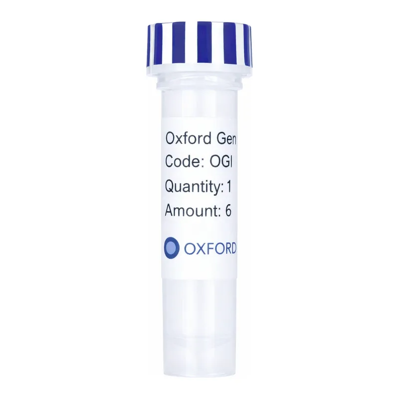 Merck PSF-OXB20-NH2-MALE - MALE SECRETION PLASMID