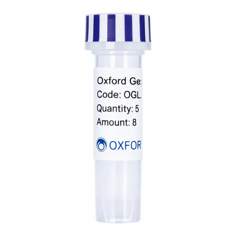 Merck PSF-OXB20-COOH-EKT-6HIS-V5 - C-TERMINAL V5 AND 6 HIS DUAL TAG BACTERIAL PLASMID