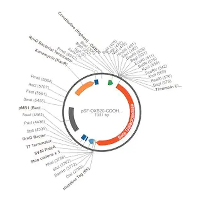 Merck PSF-OXB20-COOH-THR-BETAGAL-6HIS - C-TERMINAL 6 HIS AND BETA GAL DUAL TAG BACTERIAL PLASMID