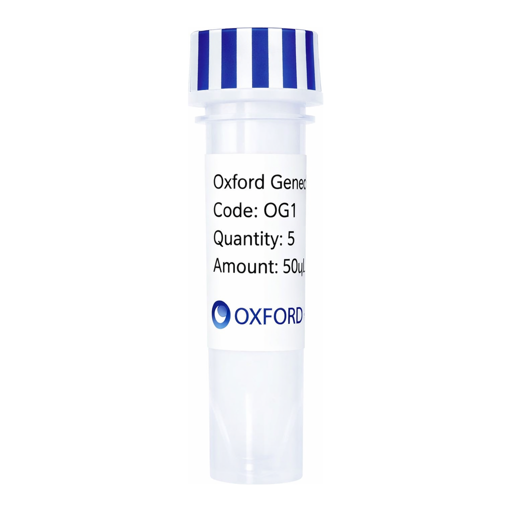 Merck PSF-OXB20-NH2-CMYC-EKT - N-TERMINAL CMYC TAG BACTERIAL PLASMID
