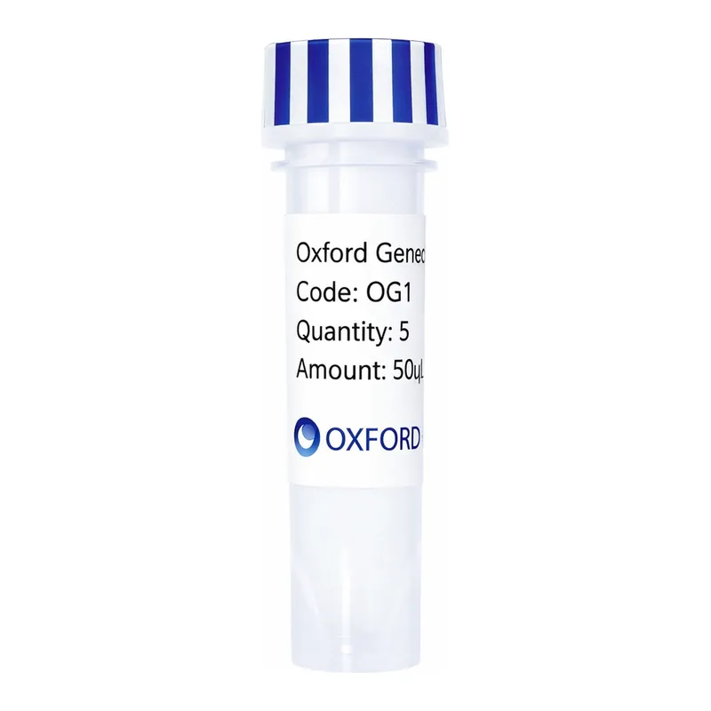 Merck PSF-OXB20-NH2-CMYC-EKT - N-TERMINAL CMYC TAG BACTERIAL PLASMID