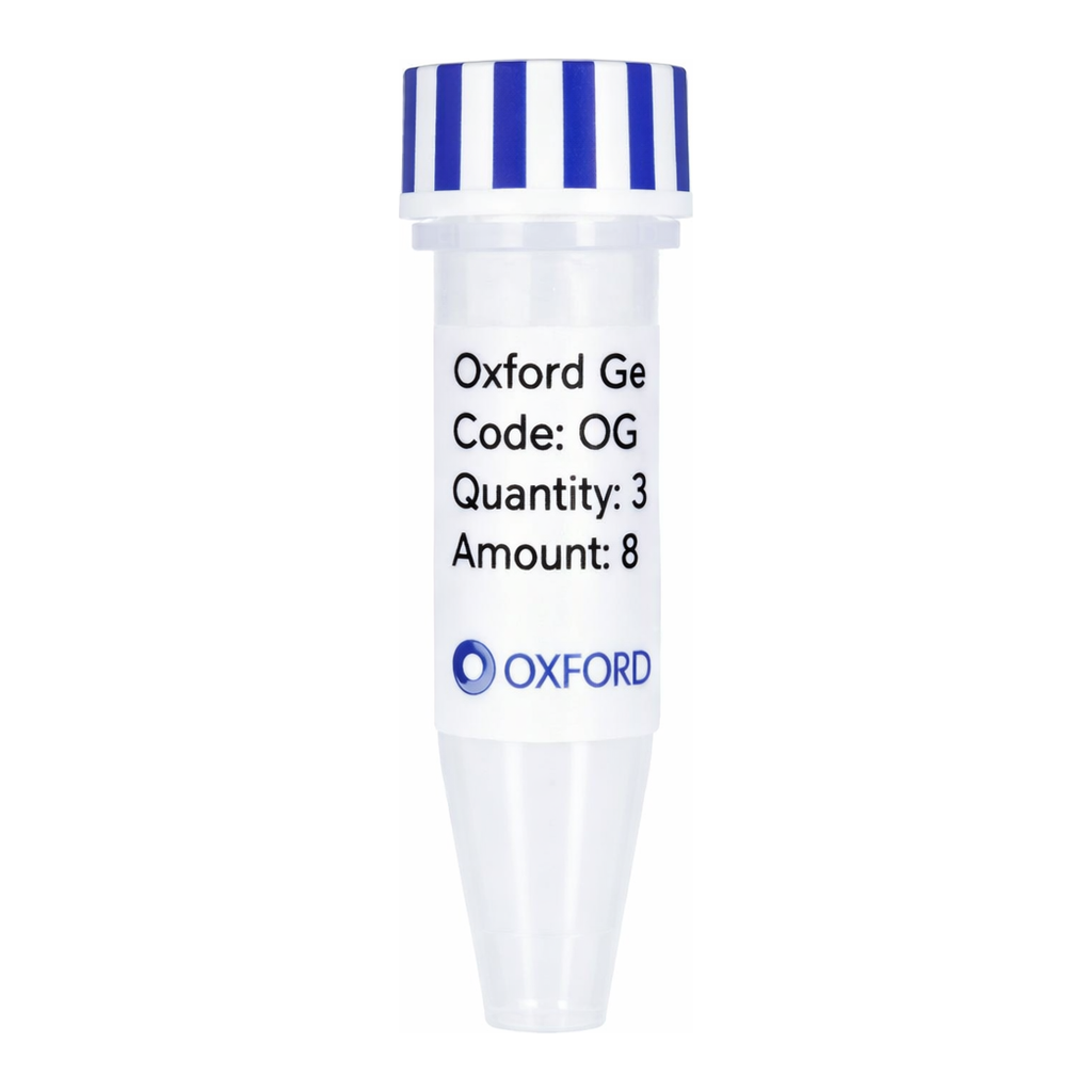 Merck PSF-OXB20-NH2-6HIS-V5-TEV - N-TERMINAL 6 HIS AND V5 DUAL TAG BACTERIAL PLASMID