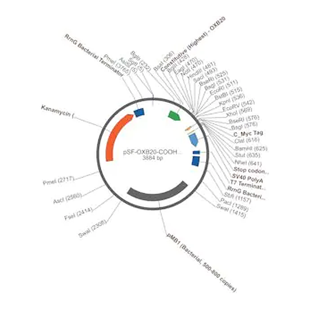 Merck PSF-OXB20-COOH-CMYC - C-TERMINAL C-MYC TAG BACTERIAL PLASMID