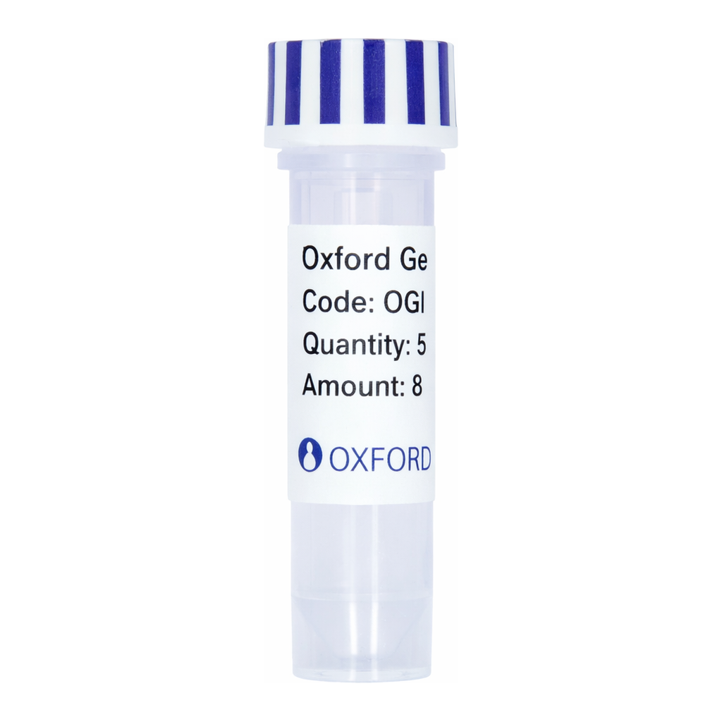 Merck PSF-OXB20-NH2-6HIS-V5-THR - N-TERMINAL 6 HIS AND V5 DUAL TAG BACTERIAL PLASMID