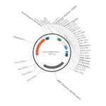 Merck PSF-OXB20-NH2-HIS6 - N-TERMINAL 6 HIS TAG MAMMALIAN PLASMID