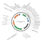 Merck PSF-CMV-PURO-NH2-HIS6 - N-TERMINAL 6 HIS TAG MAMMALIAN PLASMID