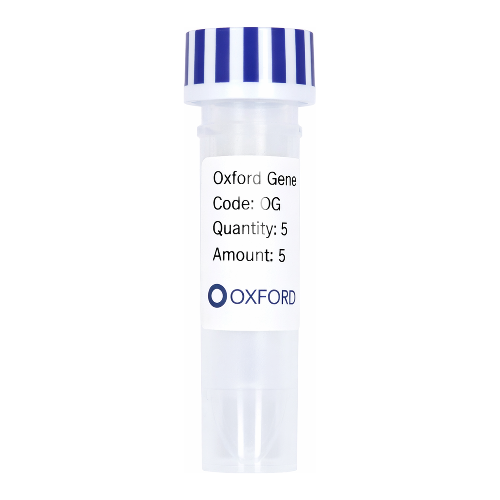 Merck PSF-OXB20-NH2-GST-EKT - N-TERMINAL GST TAG BACTERIAL PLASMID