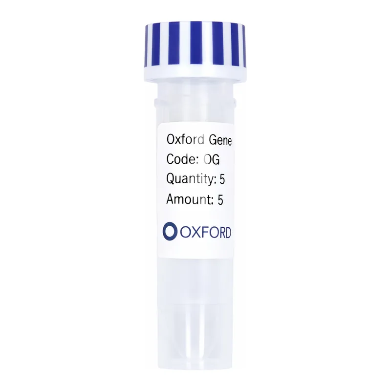 Merck PSF-OXB20-NH2-GST-EKT - N-TERMINAL GST TAG BACTERIAL PLASMID