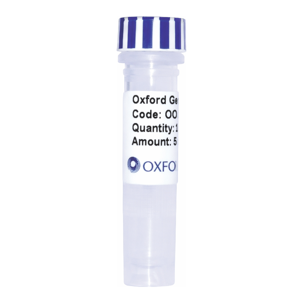 Merck PSF-CMV-PURO-COOH-EKT-V5 - C-TERMINAL V5 TAG MAMMALIAN PLASMID