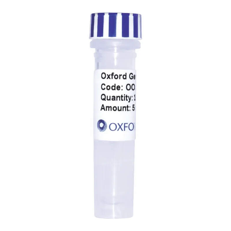 Merck PSF-CMV-PURO-COOH-EKT-V5 - C-TERMINAL V5 TAG MAMMALIAN PLASMID