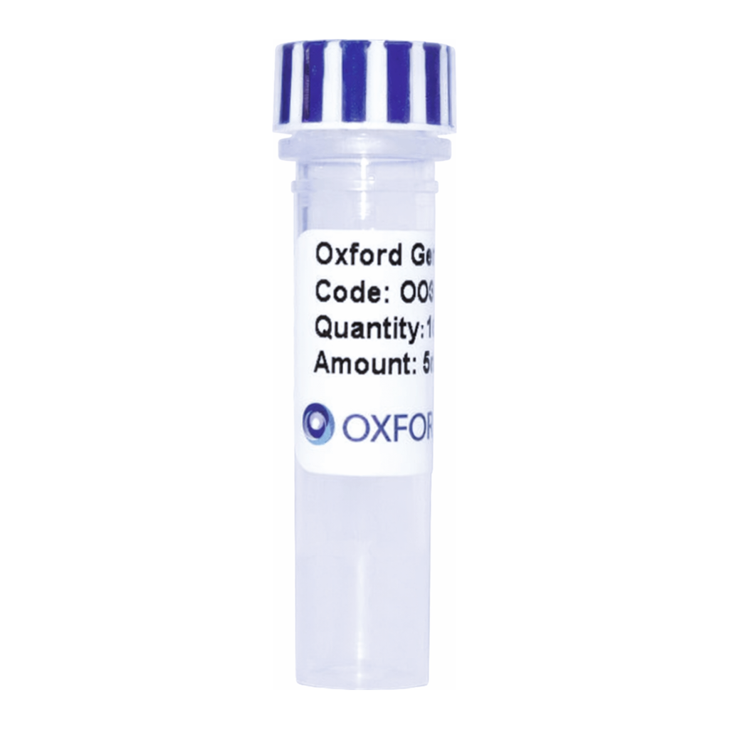 Merck PSF-CMV-PURO-COOH-EKT-GST - C-TERMINAL GST TAG MAMMALIAN PLASMID