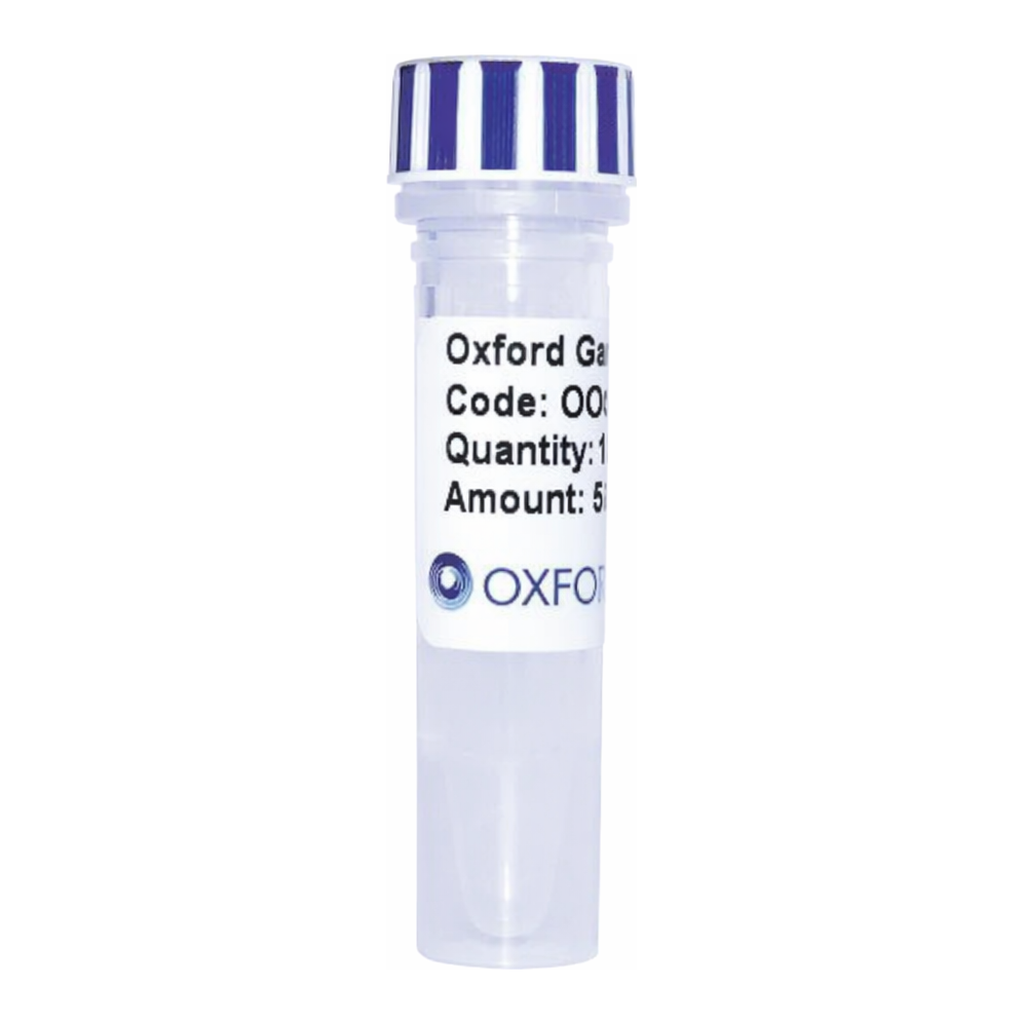 Merck PSF-CMV-PURO-COOH-THR-V5-6HIS - C-TERMINAL 6 HIS AND V5 DUAL TAG MAMMALIAN PLASMID