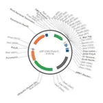 Merck PSF-CMV-PURO-COOH-CMYC - C-TERMINAL C-MYC TAG MAMMALIAN PLASMID