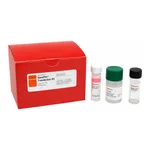 Merck NeuroPorter Transfection Kit