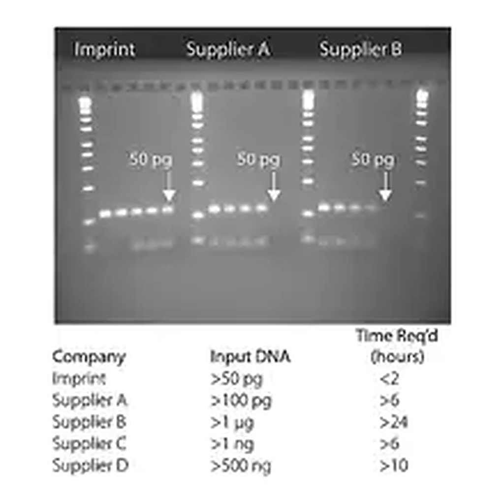 Merck Imprint DNA Modification Kit