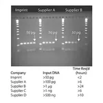 Merck Imprint DNA Modification Kit