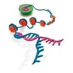 Merck EZ-Magna ChIP G - Chromatin Immunoprecipitation Kit