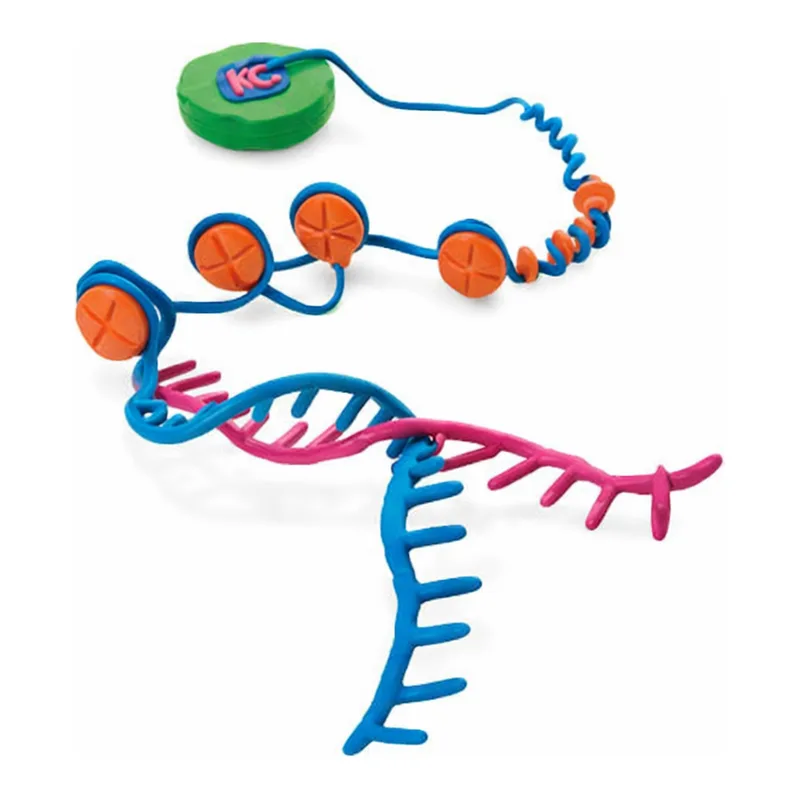 Merck EZ-Magna ChIP A - Chromatin Immunoprecipitation Kit