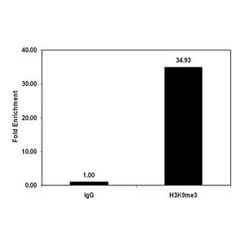 Merck ChIPAb+ Trimethyl-Histone H3 (Lys9) - ChIP Validated Antibody and Primer Set