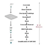 Merck Imprint Chromatin Immunoprecipitation Kit