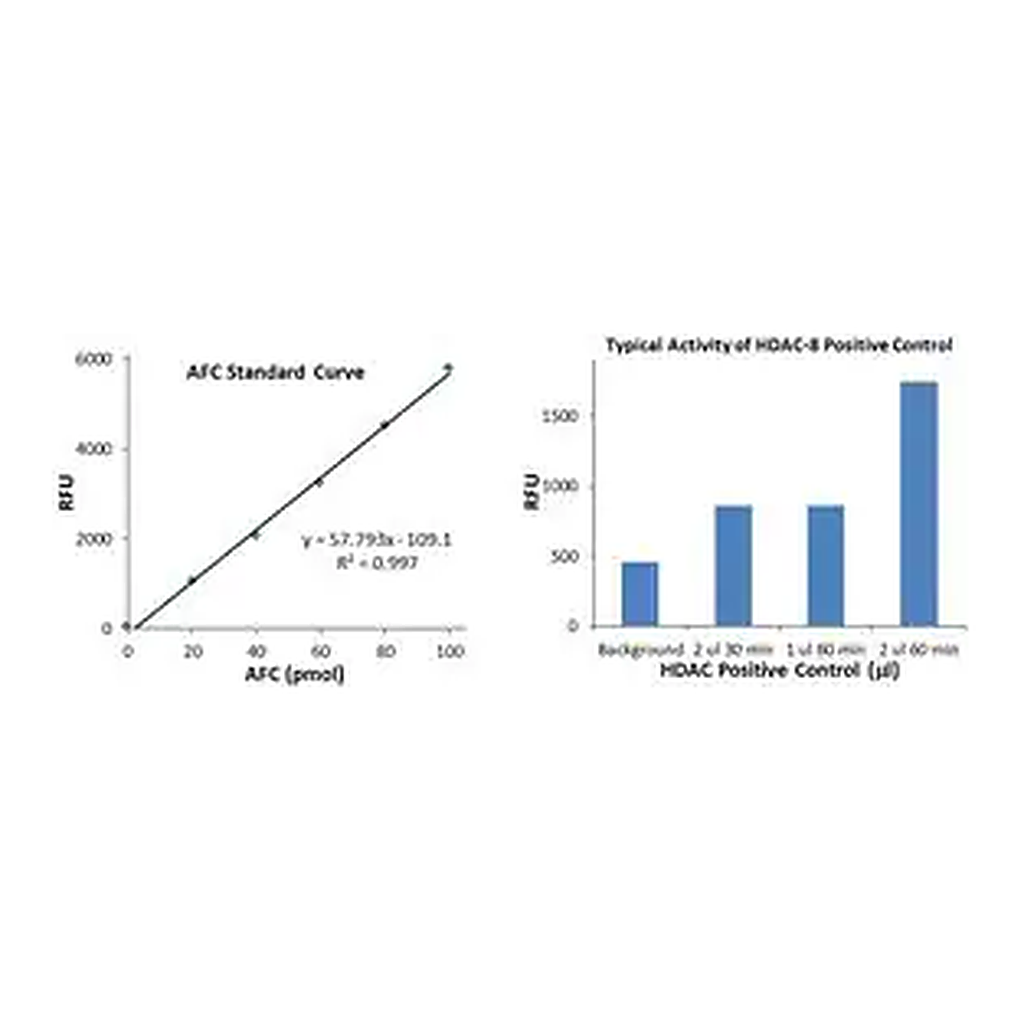 Merck Histone Deacetylase 8 (HDAC8) Activity Assay Kit