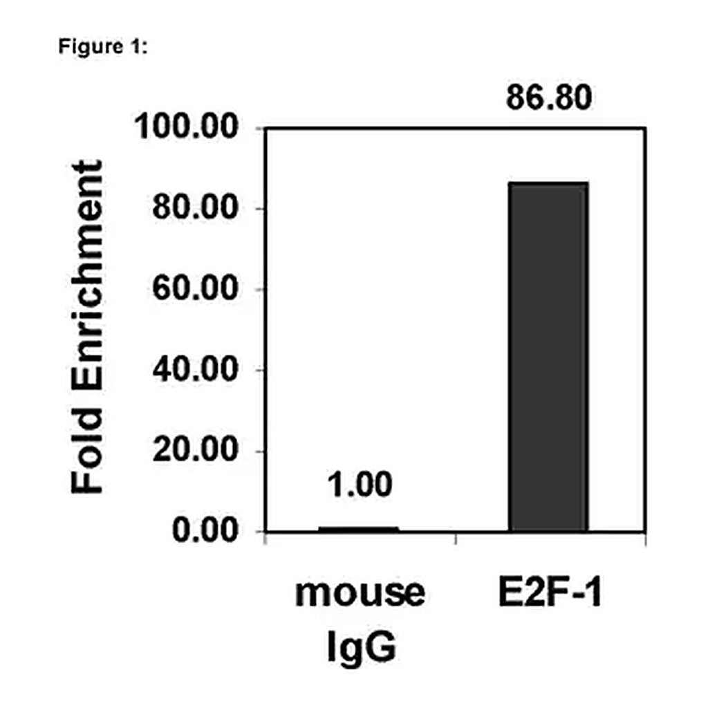 Merck ChIPAb+ E2F-1 - ChIP Validated Antibody and Primer Set