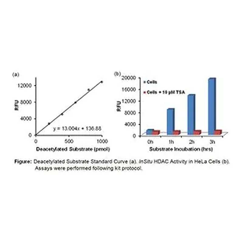 Merck In Situ Histone Deacetylase (HDAC) Activity Fluorometric Assay Kit