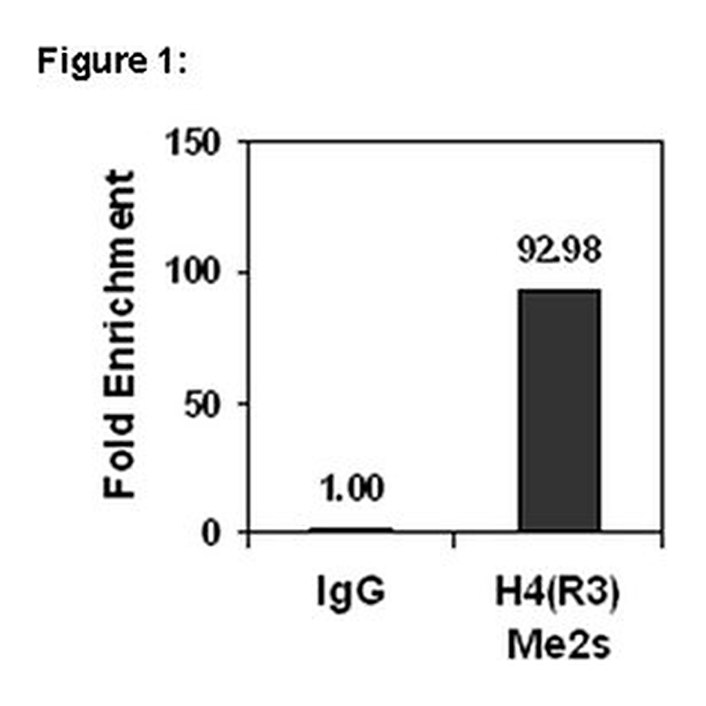 Merck ChIPAb+ Dimethyl-Histone H4 (Arg3) Symmetric - ChIP Validated Antibody and Primer Set