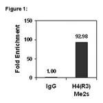 Merck ChIPAb+ Dimethyl-Histone H4 (Arg3) Symmetric - ChIP Validated Antibody and Primer Set