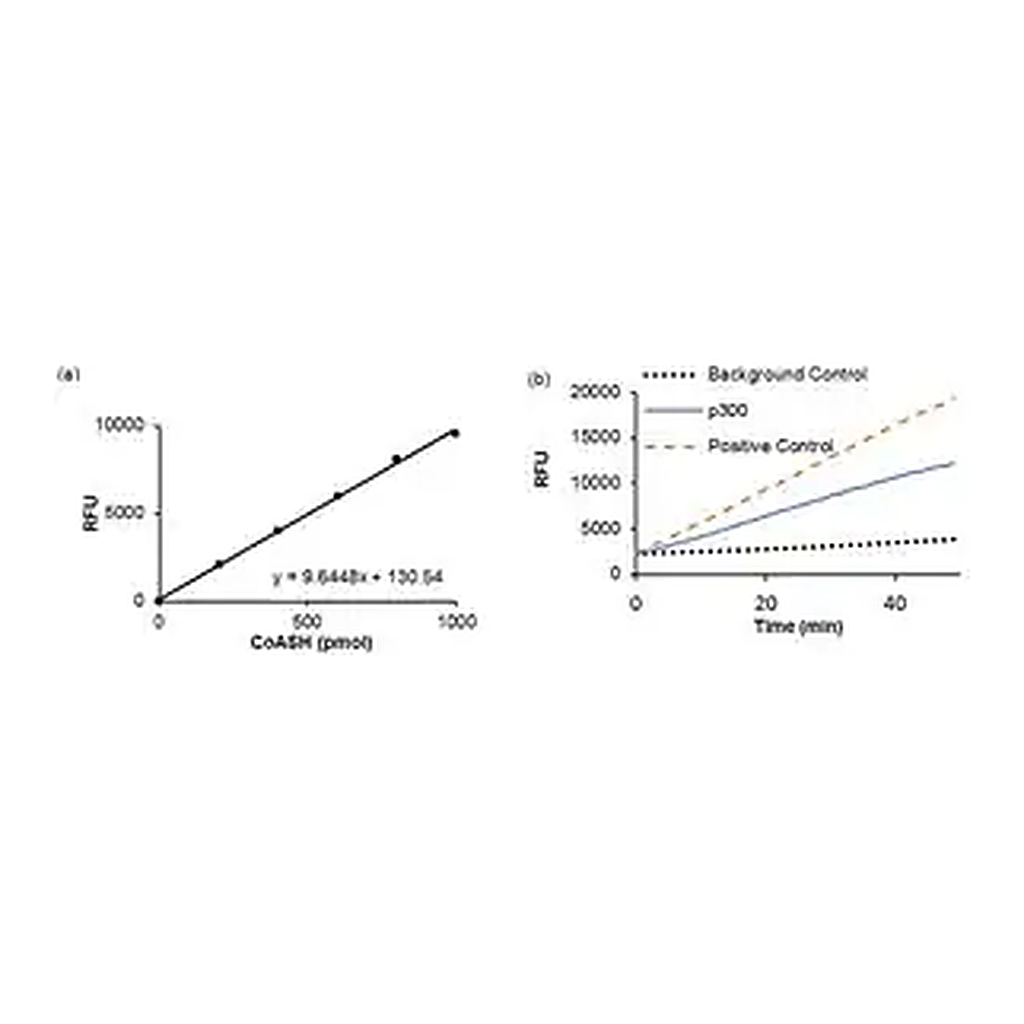 Merck HAT4 ACTIVITY FLUOROMETRIC ASSAY KIT