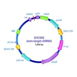 Merck MISSION pLKO.1-puro Non-Mammalian shRNA Control Plasmid DNA