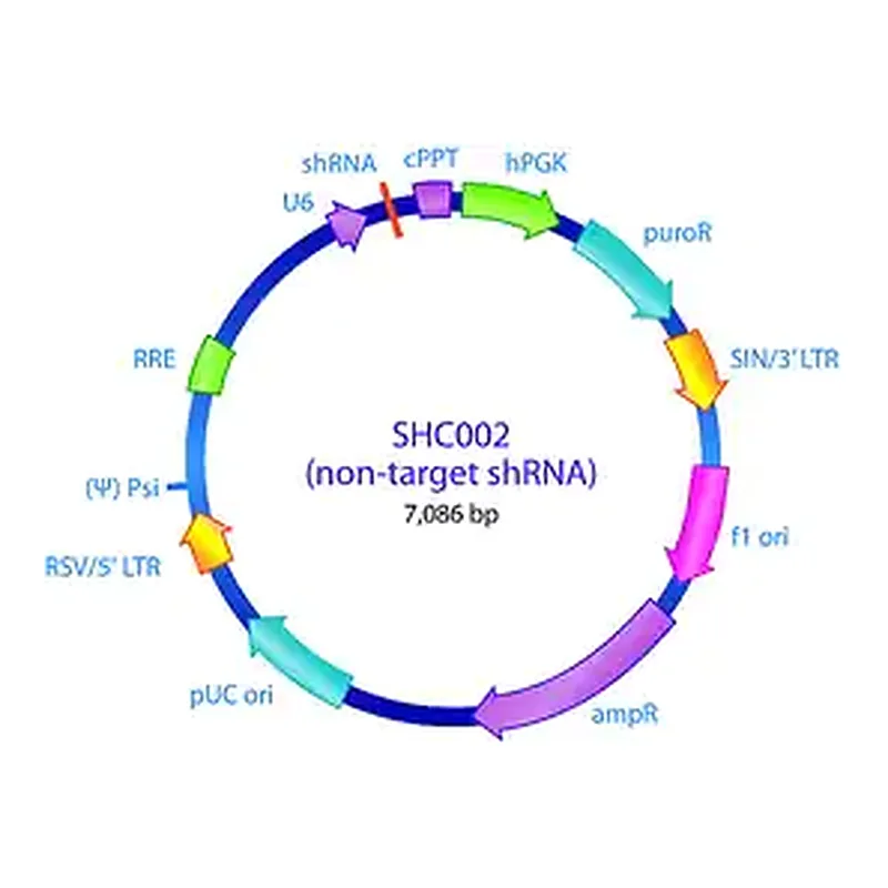 Merck MISSION pLKO.1-puro Non-Mammalian shRNA Control Plasmid DNA